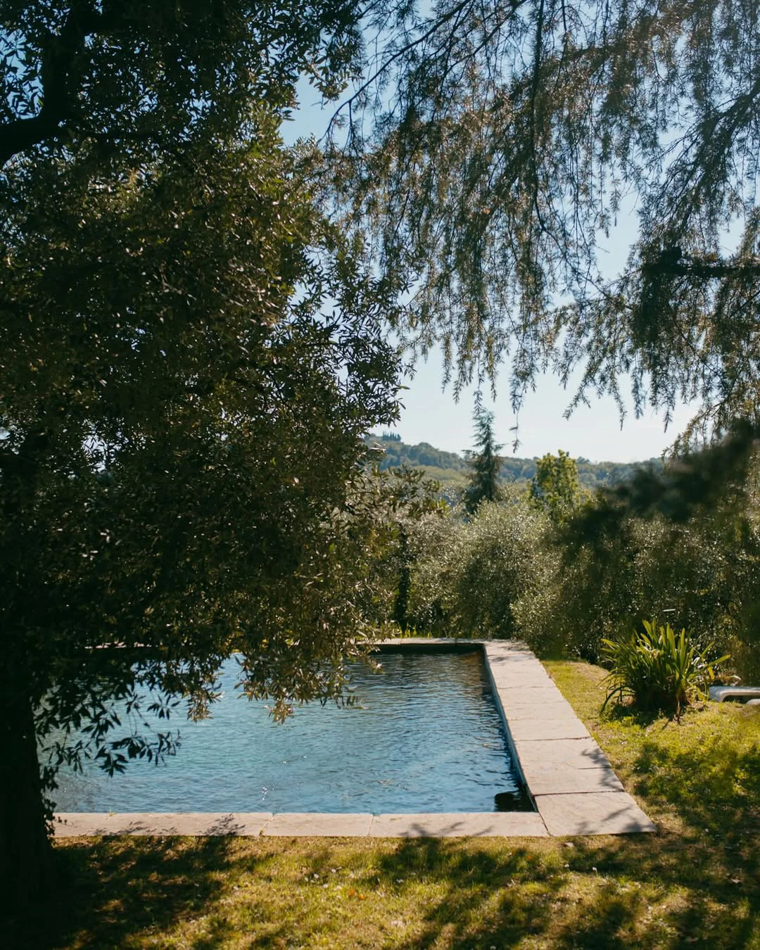 The Tenuta pool set among trees and greenery