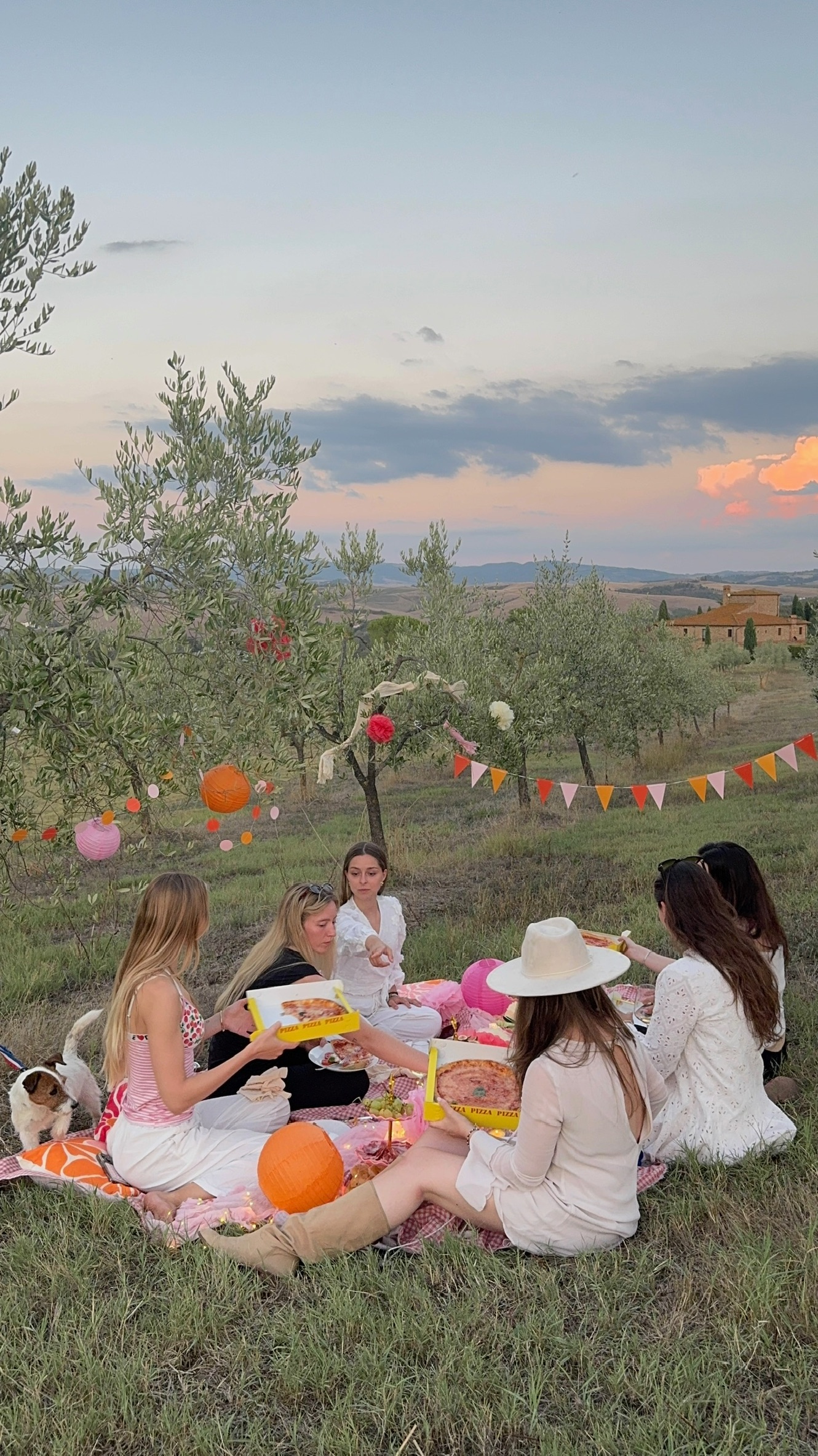 An evening picnic among Tuscan olive trees